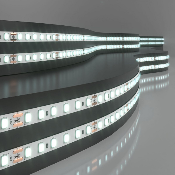 Светодиодная лента 24 В 8 Вт/м 120Led/м 2116 IP20, холодный белый 6500K, 5 м
