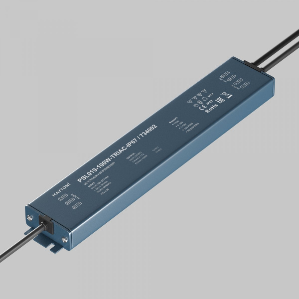 фото Источник напряжения TRIAC 24В 100Вт IP 67 Maytoni 734002, серебро