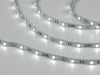 Светодиодная лента 5050, 30 LED/м, 7,2 Вт/м, 12В, IP20, Цвет: Холодный белый, SWG530-12-7.2-W-M, катушка 5 м