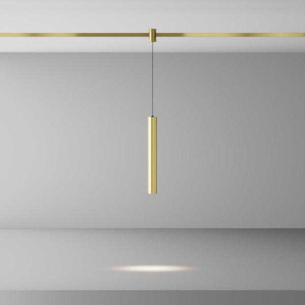 фото Трековый светильник Maytoni Technical Focus Led TR155-1-5W4K-BS, латунь