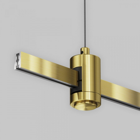 фото Подвес тросовый Hang одинарный Flarity латунь Maytoni Technical TRA157SW-S1-BS
