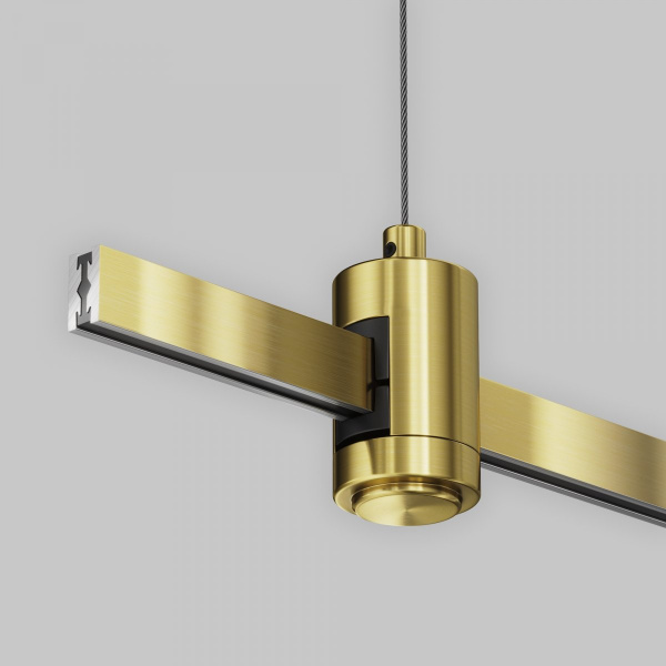 фото Подвес тросовый Hang одинарный Flarity латунь Maytoni Technical TRA157SW-S1-BS