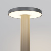 фото Ландшафтный светильник Maytoni Outdoor Wald O420FL-L12GF, графит
