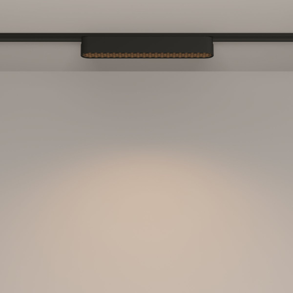 фото Трековый светильник Maytoni Technical Basis Grid TR084-1-12W3K-B, черный