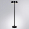 фото Торшер Arte Lamp SKAT A7052PN-2BK