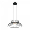 Подвесной светильник Freya Citrus FR5398PL-L6B, черный