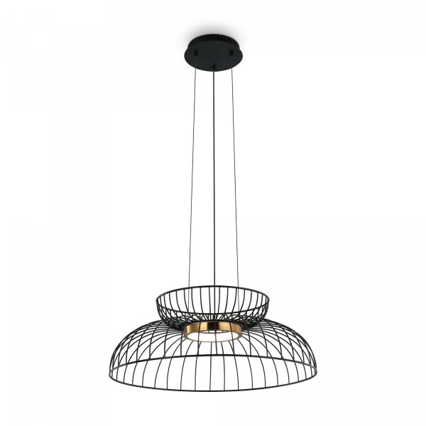 Подвесной светильник Freya Citrus FR5398PL-L6B, черный