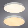 фото Потолочный светильник Arte Lamp ARENA A2671PL-1WH