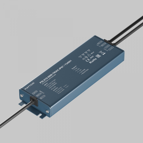 фото Источник напряжения TRIAC 24В 60Вт IP 67 Maytoni 734001, серебро
