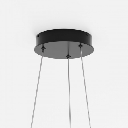 фото Подвесной светильник Maytoni Rim MOD058PL-L32BK, черный