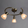 фото Спот Arte Lamp PARRY A5062PL-3AB