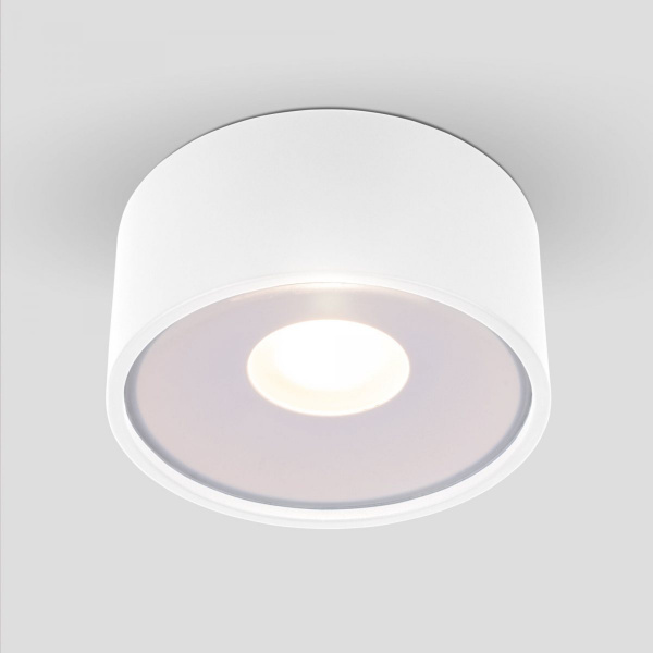 фото Уличный потолочный светильник Light LED 2135 IP65 35141/H белый