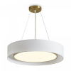Подвесной светильник Freya Cozy FR6170PL-L52BS, латунь