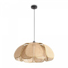 фото Подвесной светильник Freya Cocoon FR5529PL-01B, черный