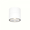 Уличный потолочный светильник Maytoni Outdoor Spin O310CL-L12W3K, белый