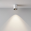 фото Потолочный светильник Maytoni Technical Alfa LED C064CL-5W4K-RD-WB, белый