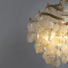 фото Подвесная люстра Arte Lamp PIPIRIMA A4065SP-6SG