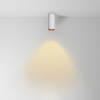 фото Потолочный светильник Maytoni Technical FOCUS LED C056CL-L12W2.7K-W-W, белый
