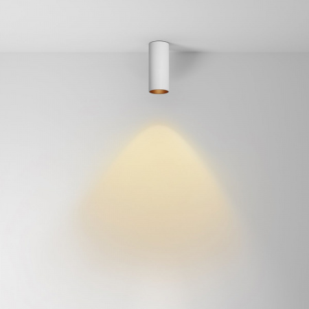 фото Потолочный светильник Maytoni Technical FOCUS LED C056CL-L12W2.7K-W-W, белый