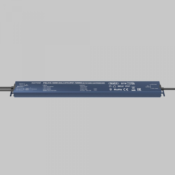 фото Источник напряжения 24В DALI DT6 100Вт IP 67 Maytoni 725002, серебро
