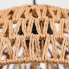 фото Подвесной светильник Arte Lamp BRUSHWOOD A7086SP-1BK