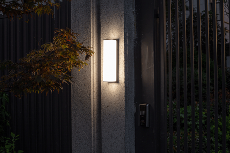 фото Светильник  WC2125 уличный 220V LED COB 34W белого цвета. Цвет: серый