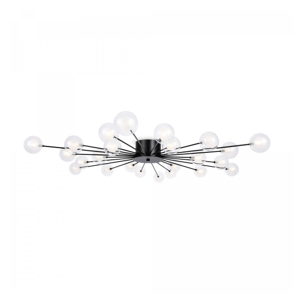 фото Потолочный светильник Freya Celebrity FR5242CL-24B1, черный