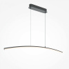 фото Подвесной светильник Maytoni Curve MOD243PL-L18BK, черный