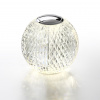 фото Хром/металл/акрил Настольный светильник LED 2W 4000K 200лм CRYSTAL L-VISION, арт. 5007/2TL