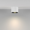 фото Потолочный светильник Maytoni Technical Calipso C106CL-GX53-W, белый