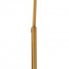 фото Торшер Arte Lamp PAOLO A5822PN-1PB