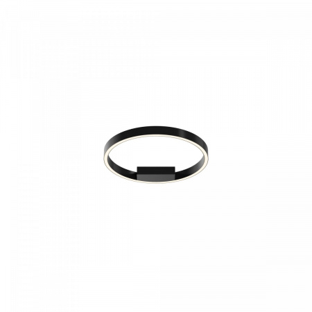 фото Потолочный светильник Maytoni Rim MOD058CL-L25BK, черный