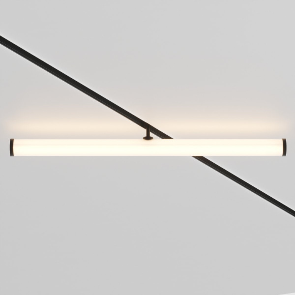 фото Трековый светильник Maytoni Technical Larc TR086-2-25W3K-B, черный