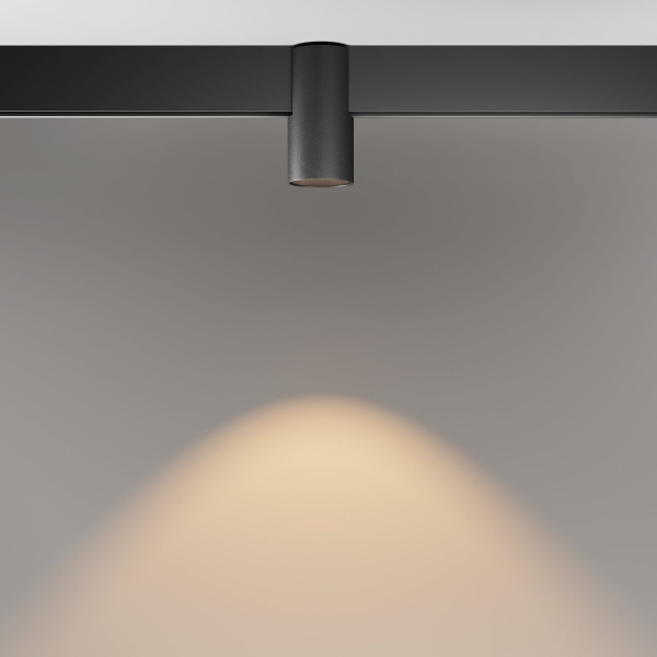 фото Трековый светильник Maytoni Technical Alfa TR122-2-7W3K-B, черный