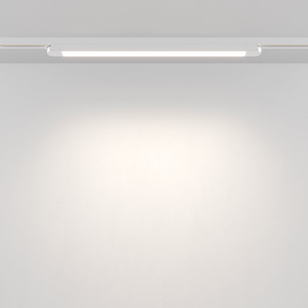 фото Трековый светильник Maytoni Technical Basis TR000-1-24W4K-W_1, белый