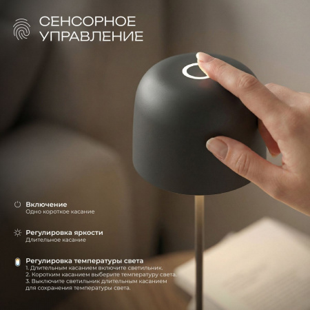 фото Компактный светодиодный настольный светильник Bitty чёрный IP54 TL70260