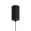 фото Подвесной светильник Freya Lake FR6179PL-L6B, черный