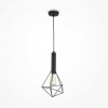 фото Подвесной светильник Maytoni Spider T021-01-B, черный