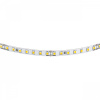 фото Лента двухсторонняя 24V Lightstar 420843