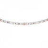 фото Лента цветная RGBCW 24V Lightstar 421200