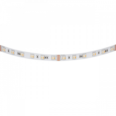 фото Лента цветная RGBCW 24V Lightstar 421200