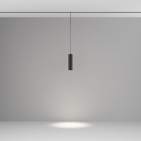 фото Трековый подвесной светильник Maytoni Technical Focus LED TR041-4-12W3K-M-DS-B, черный