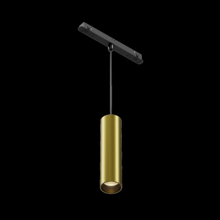 фото Трековый подвесной светильник Maytoni Technical Focus LED TR041-2-12W3K-BBS, черный