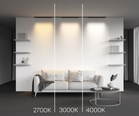 фото Трековый светильник Maytoni Technical Basis TR192-1-16W2.7K-B, черный