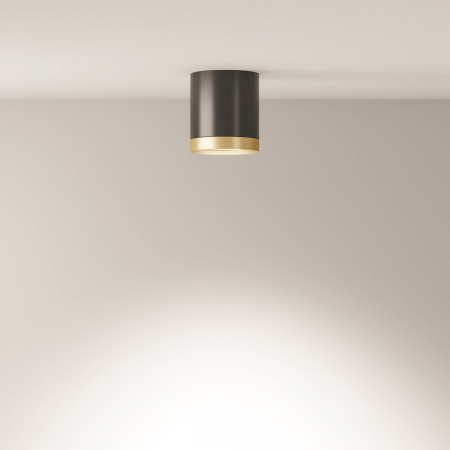 фото Потолочный светильник Maytoni Technical Hoop C086CM-GX53-MRD-BG, черный с золотом