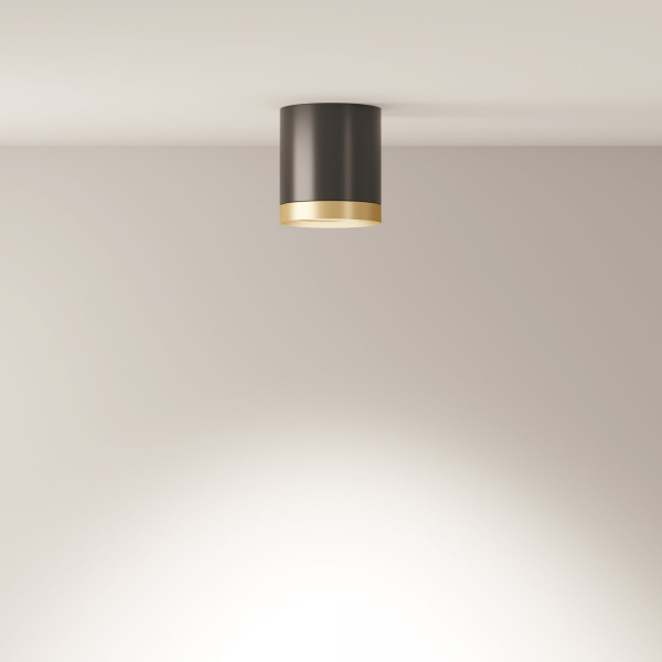 фото Потолочный светильник Maytoni Technical Hoop C086CM-GX53-MRD-BG, черный с золотом