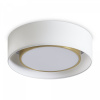 фото Потолочный светильник Freya Cozy FR6170CL-L52BS, латунь