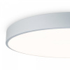 фото Потолочный светильник Freya FR6129CL-L80GR, серый