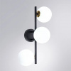 фото Настенно-потолочный светильник Arte Lamp GEMINI A2243PL-3BK