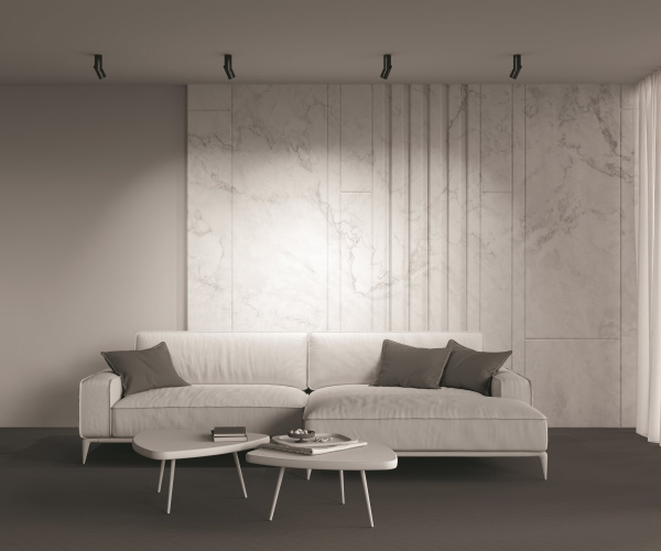 фото Потолочный светильник Maytoni Technical Dafne C027CL-L10B4K, черный
